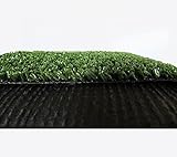Erba Prato Sintetico Artificiale per Tappeto Manto Erboso effetto realistico da giardino (Spessore 10 mm, Rotolo 2x25 metri (50 mq))