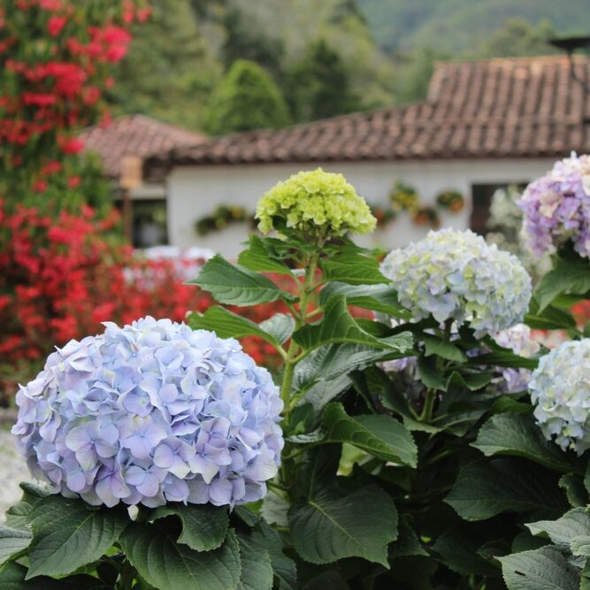 Manutenzione del giardino a basso sforzo: le tecniche da provare